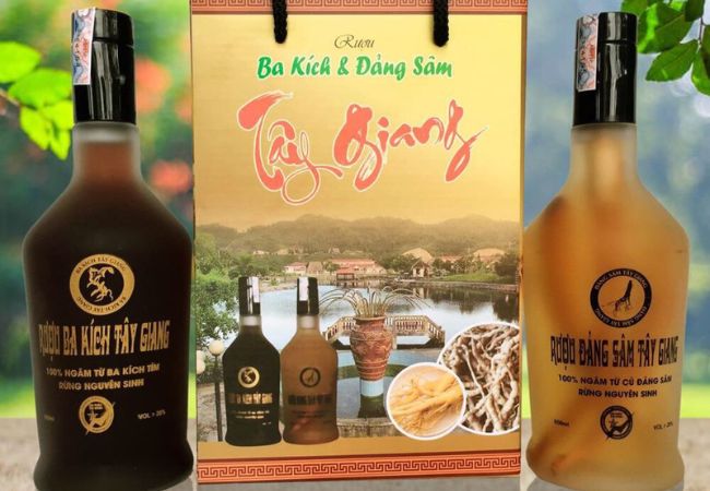 Rượu Ba Kích Tây Giang – Hương Vị Núi Rừng Đậm Đà Bản Sắc Cơ Tu