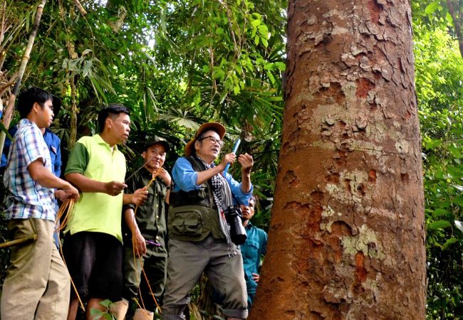 Trọn bộ kinh nghiệm du lịch Tây Giang Quảng Nam